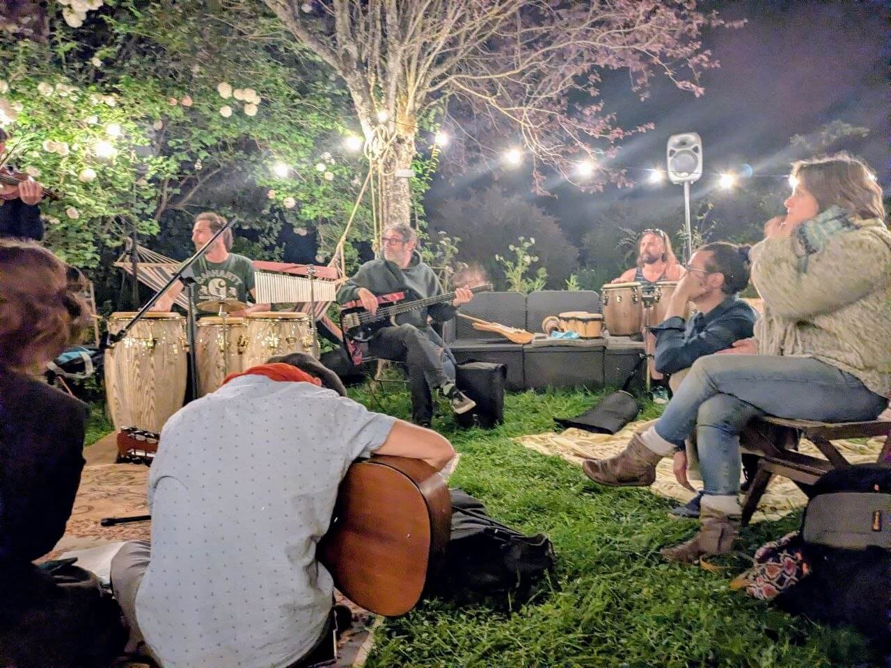 musiciens qui joue dans un jardin 